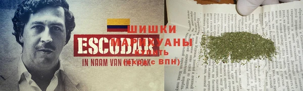 таблы Богданович