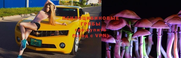 таблы Богданович