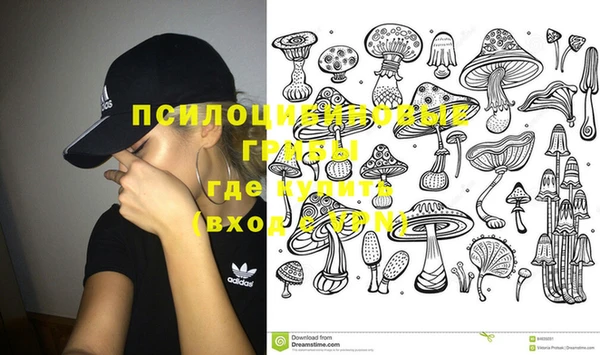 таблы Богданович