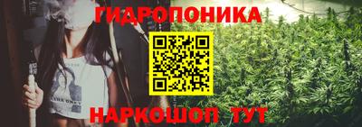 spice Бугуруслан