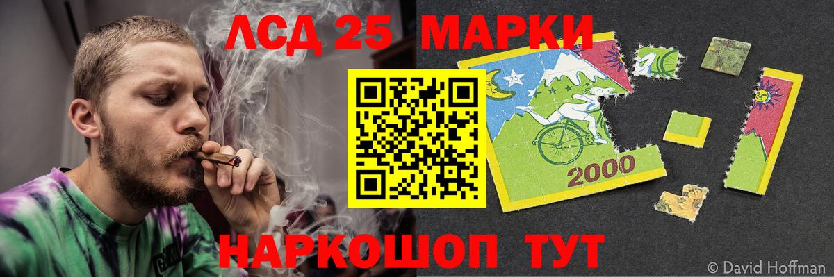 Псилоцибиновые грибы Кореновск